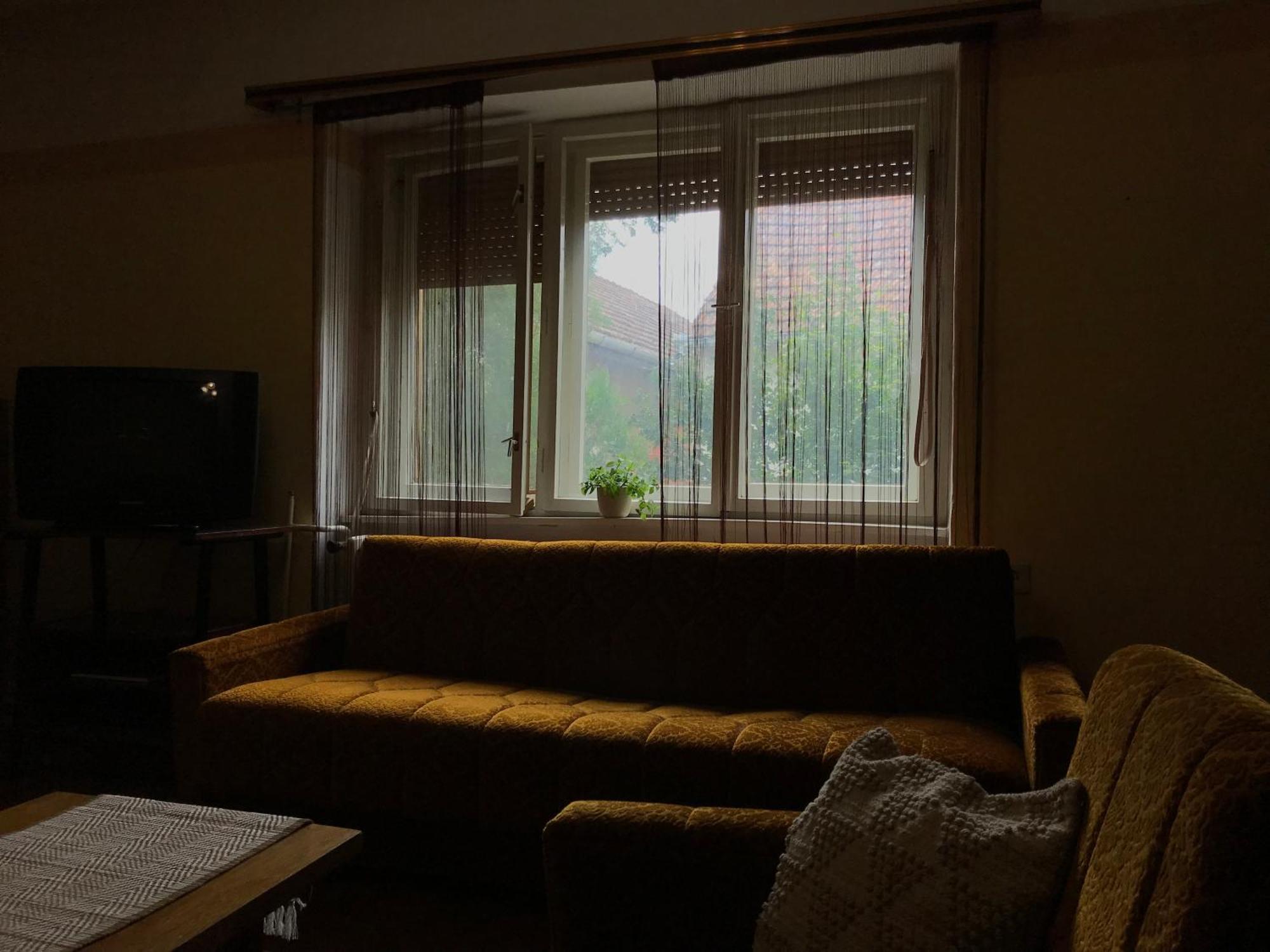 Guest House Tisza Haz Senta Dış mekan fotoğraf