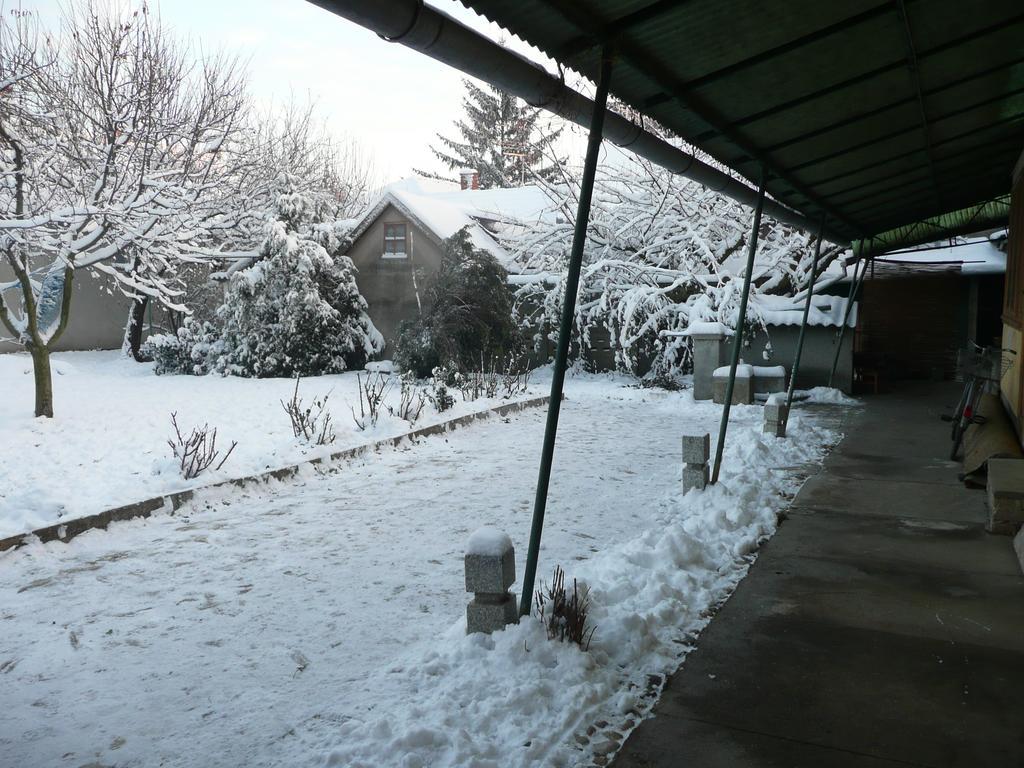 Guest House Tisza Haz Senta Dış mekan fotoğraf
