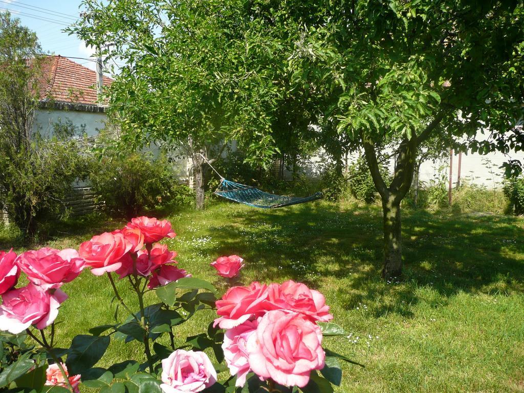 Guest House Tisza Haz Senta Dış mekan fotoğraf