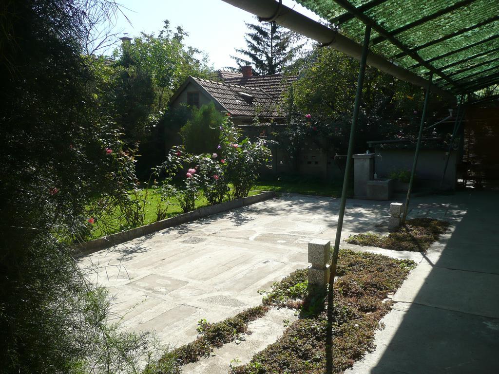 Guest House Tisza Haz Senta Dış mekan fotoğraf