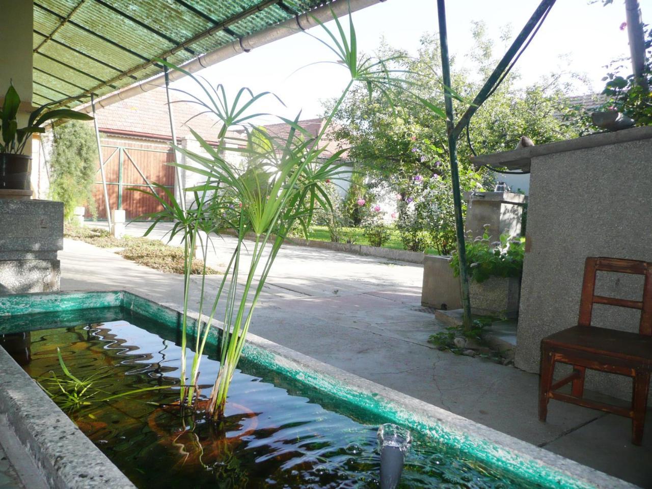 Guest House Tisza Haz Senta Dış mekan fotoğraf
